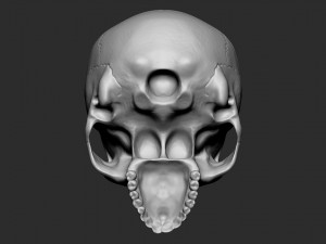 Skullpot Modelo de impresión 3D
