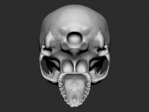 Skullpot 3D Print Model