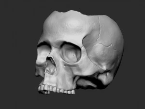 Skullpot 3D Print Model