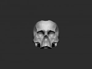 Schedelpot laag poly 3D printmodel