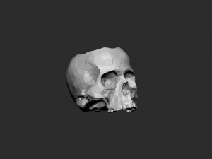 Skull pot low-poly 3D Print Model