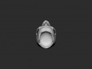 Skull pot low-poly 3D 프린트 모델