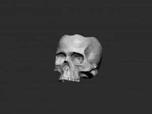 Skull pot low-poly 3D Print Model