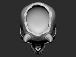 Skull pot with horns 3D Print Model