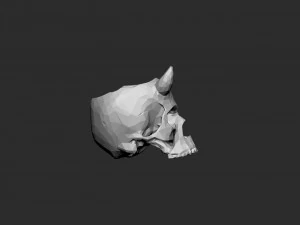 Skull pot with horns low-poly 3D Print Model