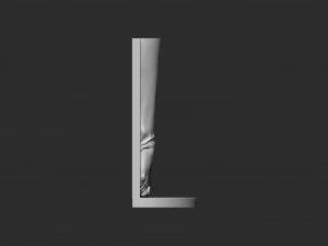 Ballerina legs 3D Print Model