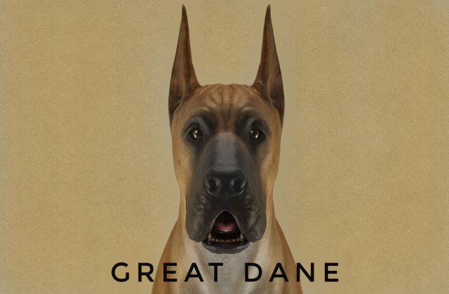 DOG - GREAT DANE Modelo 3D .c4d .max .obj .3ds .fbx .stl .blend 
