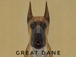 DOG - GREAT DANE 3D Model