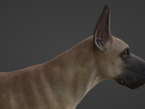 DOG - GREAT DANE Modelo 3D