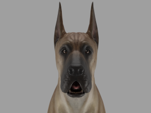 DOG - GREAT DANE Modelo 3D