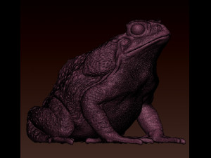 Cane toad 3D 프린트 모델