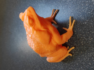 Cane toad 3D 프린트 모델
