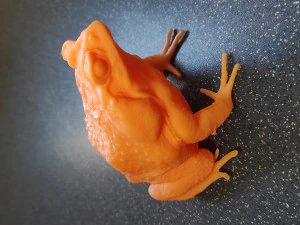 Cane toad 3D Print Model