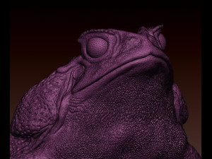 Cane toad 3D 프린트 모델