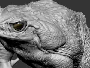 Cane toad 3D 프린트 모델