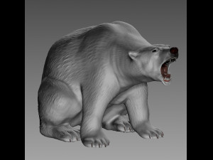 POLAR BEAR 3D Print Model