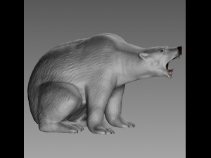 POLAR BEAR 3D प्रिंट मॉडल
