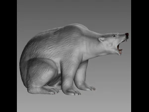 ORSO POLARE Modello di stampa 3D