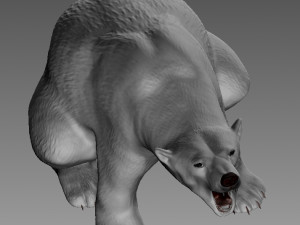 POLAR BEAR 3D प्रिंट मॉडल