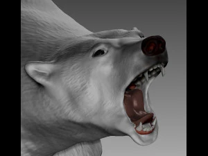 ORSO POLARE Modello di stampa 3D