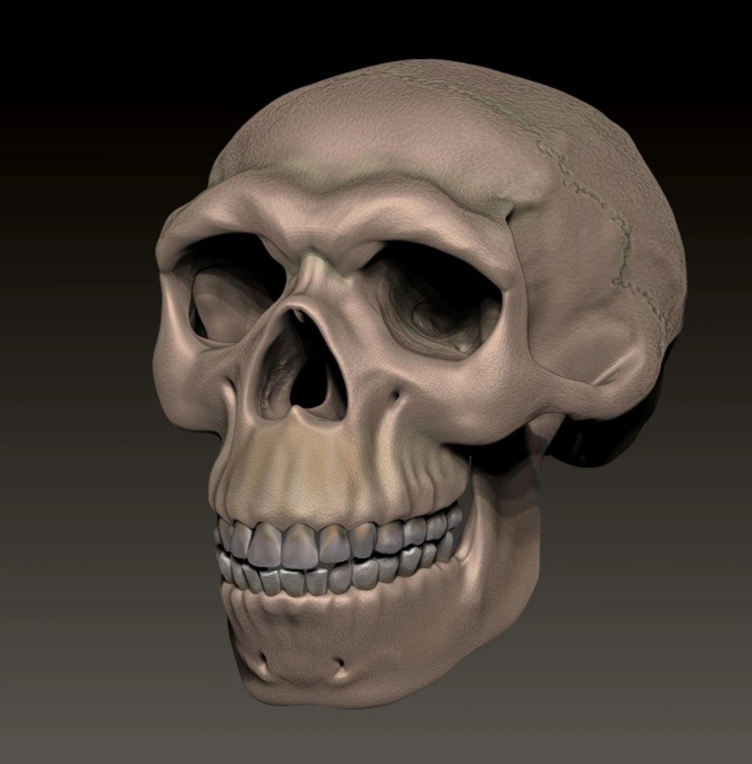 NEANDERTHAL SKULL 3D Print Model .c4d .max .obj .3ds .fbx .stl .blend 