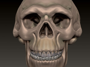 NEANDERTHAL SKULL 3D Baskı Modeli