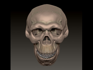 NEANDERTHAL SKULL 3D Baskı Modeli