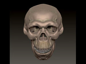 NEANDERTHAL SKULL 3D Print Model