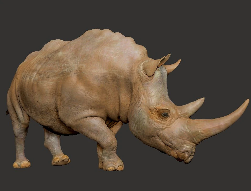 RHINOCEROS 3D Print Model .c4d .max .obj .3ds .fbx .stl .blend 