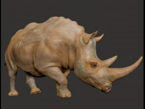 코뿔소 3D 프린트 모델