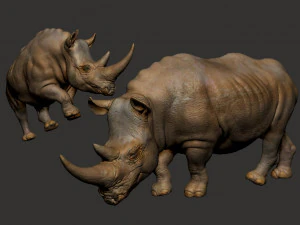RHINOCEROS 3D Print Model