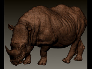 RHINOCEROS 3D-Druckmodell