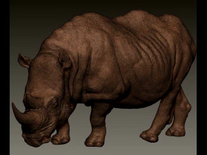 RHINOCEROS 3D Print Model