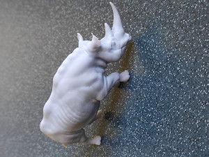 RHINOCEROS 3D-Druckmodell