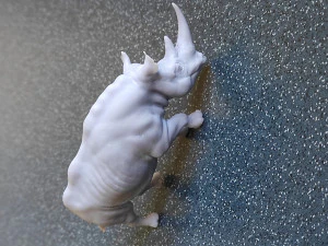 RHINOCEROS 3D Print Model