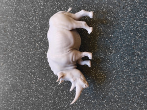RHINOCEROS 3D-Druckmodell