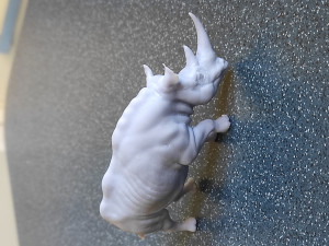 RHINOCEROS 3D-Druckmodell