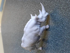 RHINOCEROS 3D Print Model