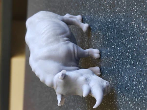 RHINOCEROS 3D Print Model