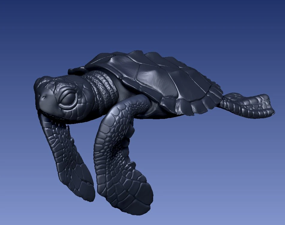 TURTTLE ARTICULATED 3D Print Model .c4d .max .obj .3ds .fbx .stl .blend 