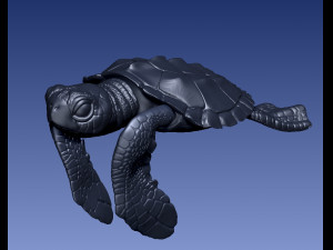 TURTTLE ARTICULATED 3D प्रिंट मॉडल