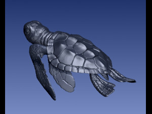 TURTTLE ARTICULATED Modelo de Impressão 3D