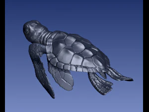 TURTTLE ARTICULATED 3D Print Model