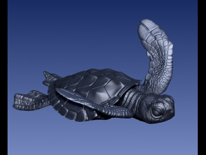 TURTTLE ARTICULATED Modelo de Impressão 3D