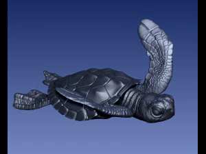 TURTTLE ARTICULATED 3D Print Model