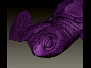 TURTTLE ARTICULATED 3D Print Model