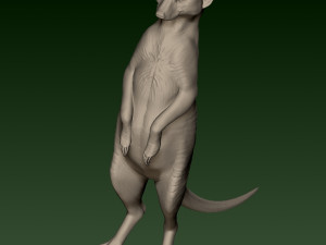 SURIKATE 3D Print Model
