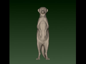 SURIKATE Modèles 3D en vedette