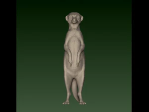 SURIKATE 3D Print Model