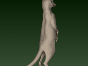 SURIKATE Modèles 3D en vedette